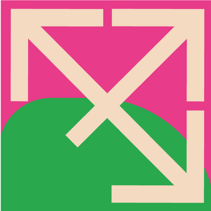 Informationsmanagemt Logo für Studienstart